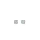 Blossom Earrings Silver