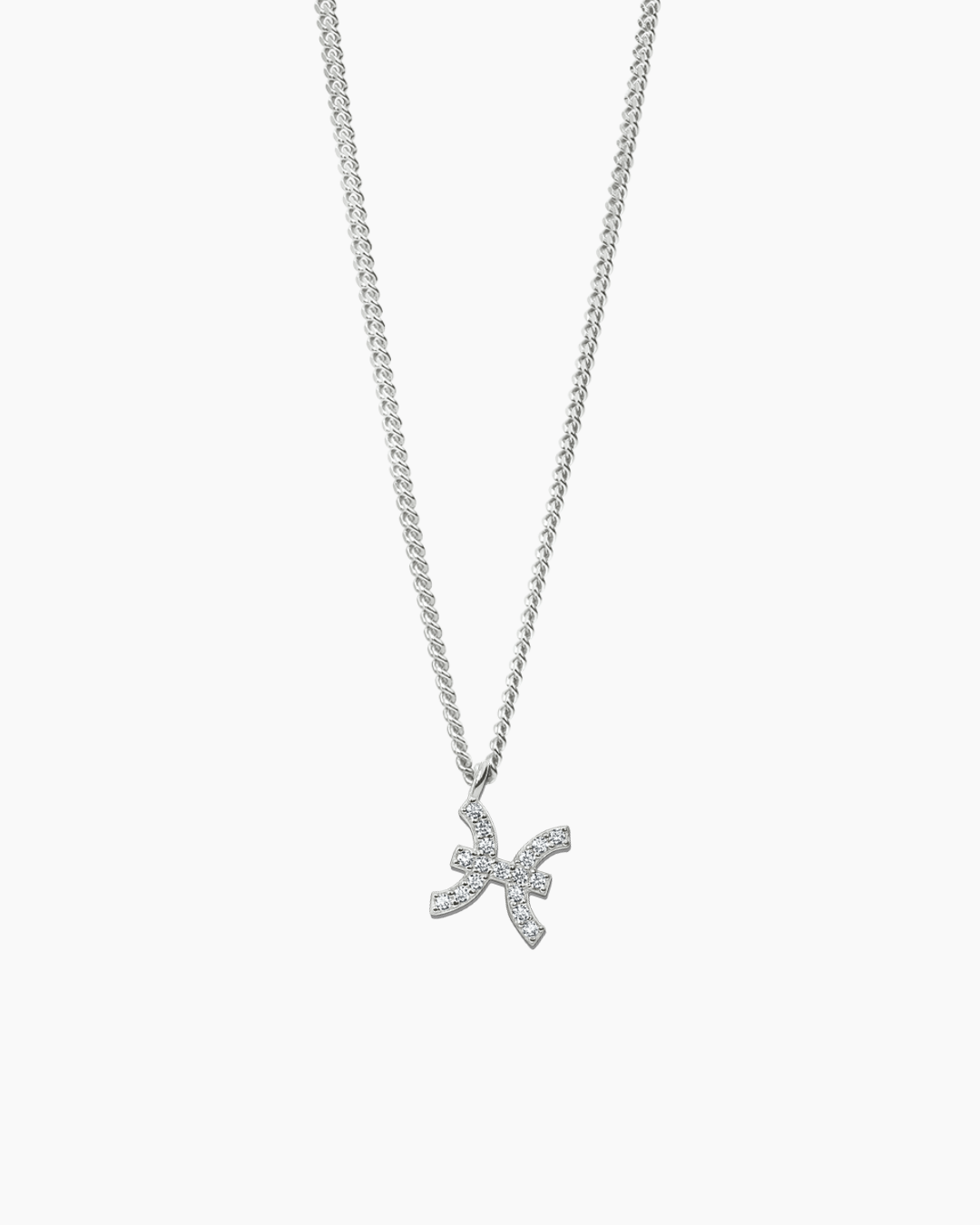 Zodiac Necklace Silver