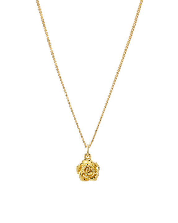 Rose Necklace Gold ryhmässä Shop / Kaulakorut @ ANI (ANI_SET_063)