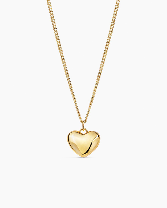 Heart Pendant Necklace Gold ryhmässä Shop / Kaulakorut @ ANI (ANI_SET_080)